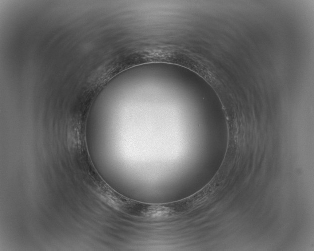 X0000054370514200508051558