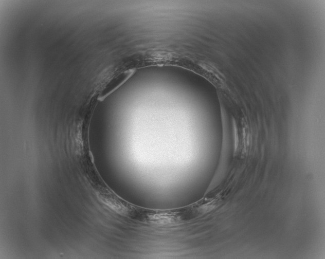 X0000054370516200508051558