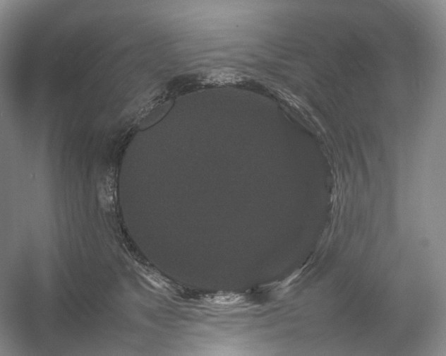 X0000054370517200508051558