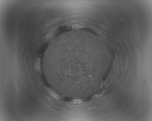 X0000054370519200508051558