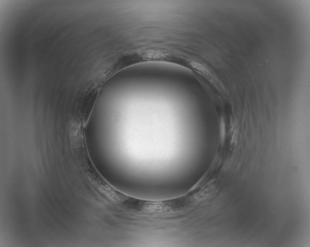 X0000054370521200508051558