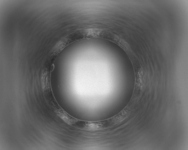 X0000054370522200508051558