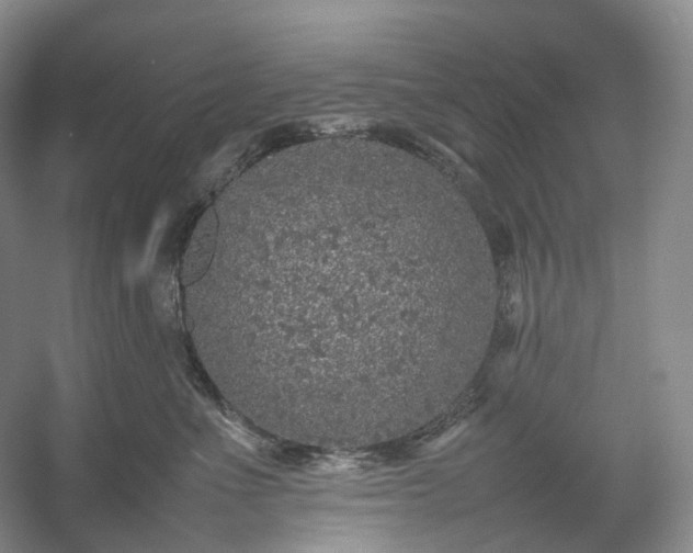 X0000054370523200508051558