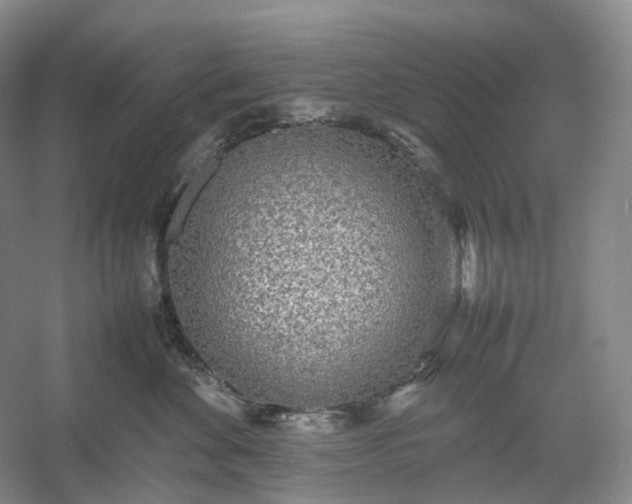 X0000054370524200508051558