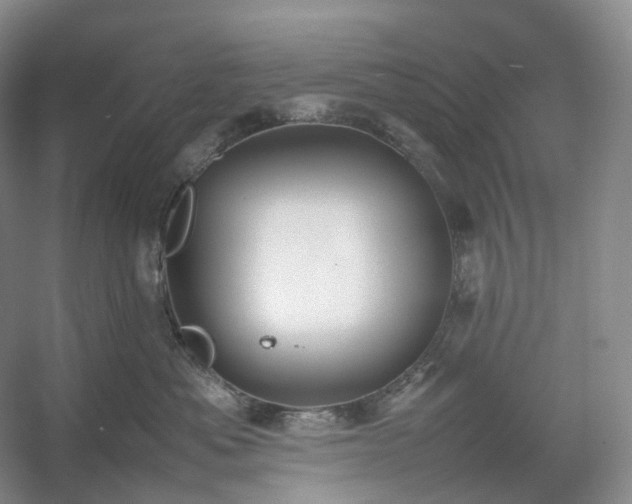 X0000054370525200508051558