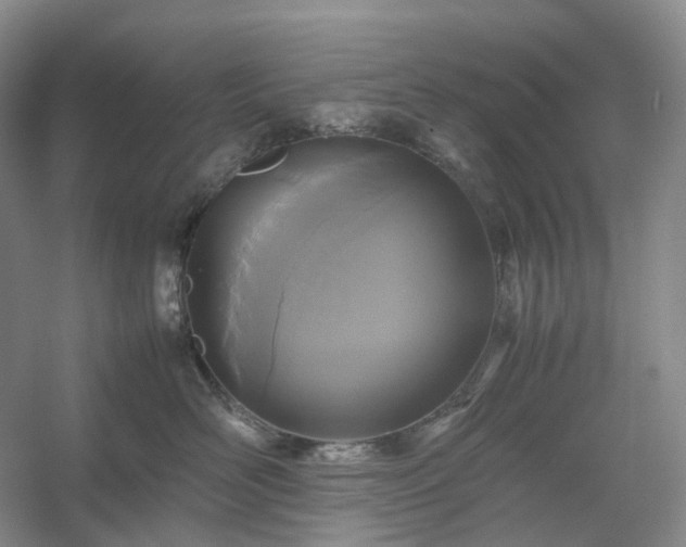 X0000054370526200508051558