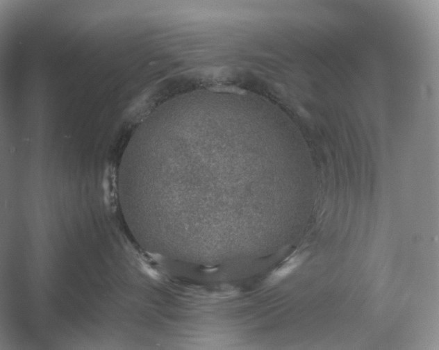 X0000054370528200508051558