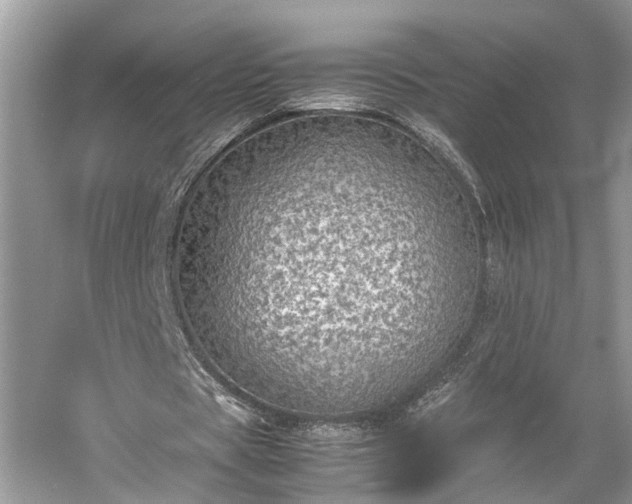 X0000054370529200508051557