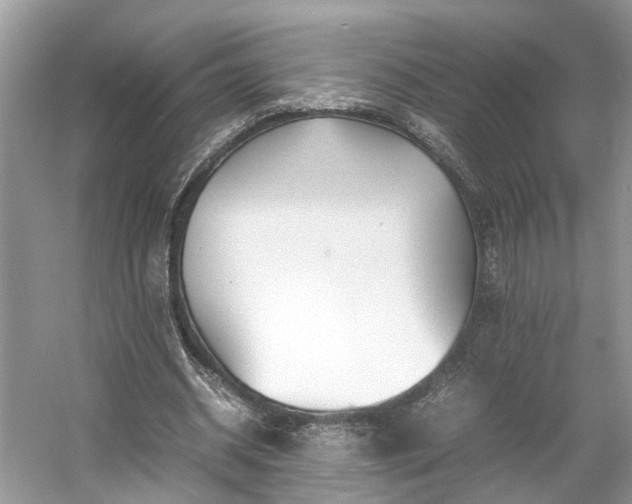 X0000054370534200508051557