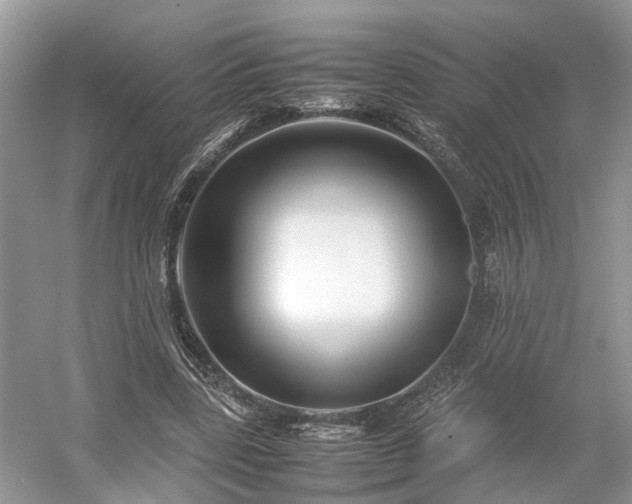 X0000054370539200508051557