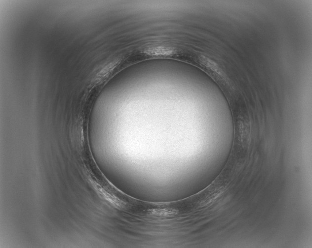 X0000054370541200508051558