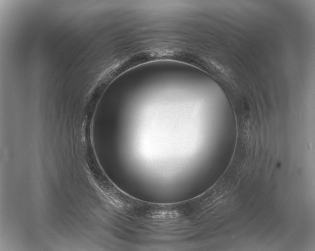 X0000054370543200508051558