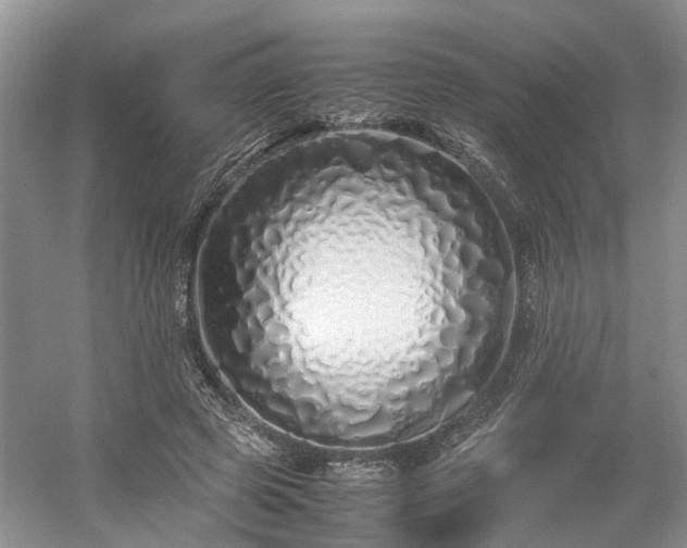 X0000054370545200508051558