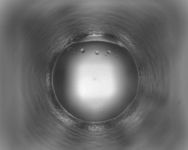 X0000054370549200508051558