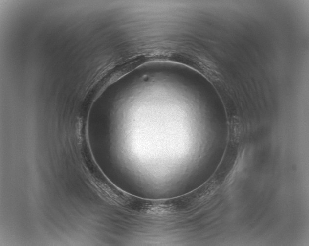 X0000054370550200508051558