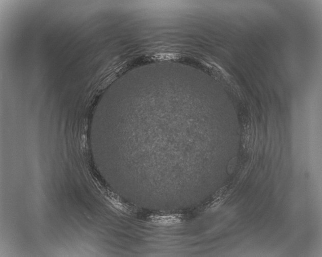 X0000054370553200508051558