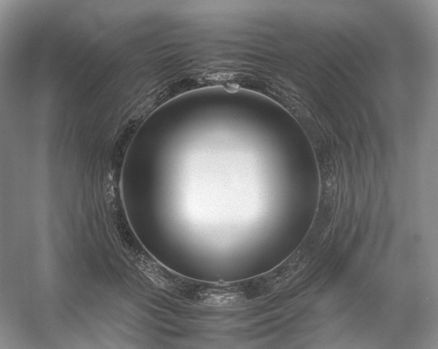 X0000054370555200508051558