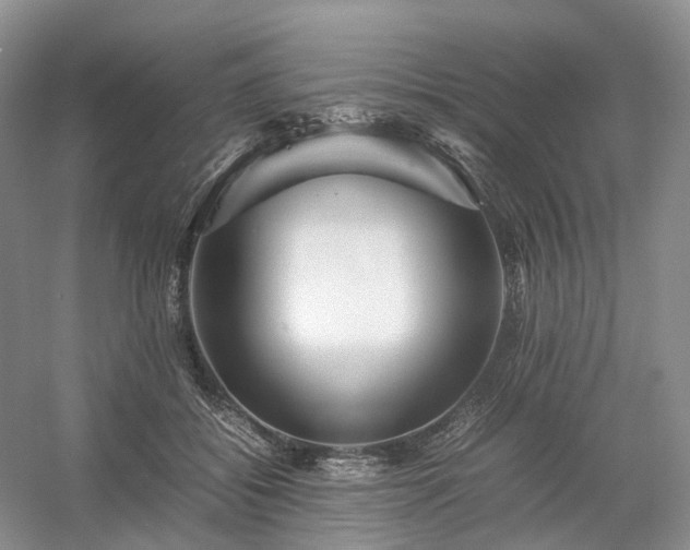 X0000054370556200508051558