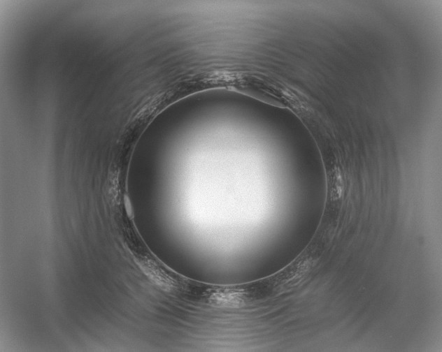 X0000054370560200508051558