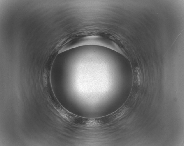 X0000054370562200508051558