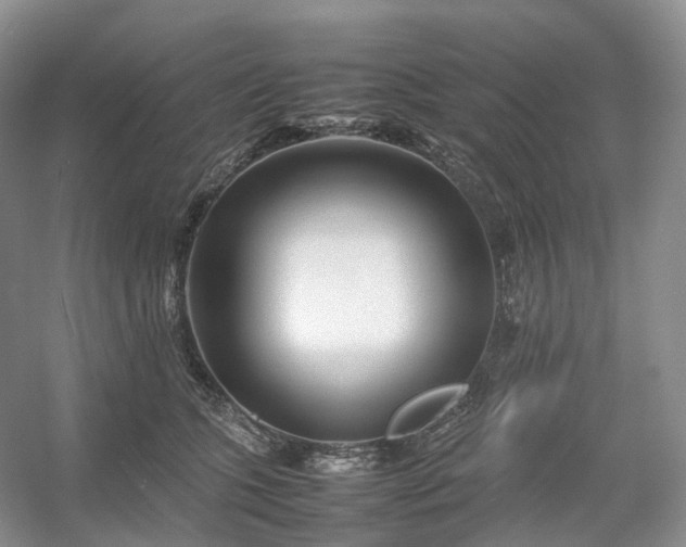 X0000054370563200508051558