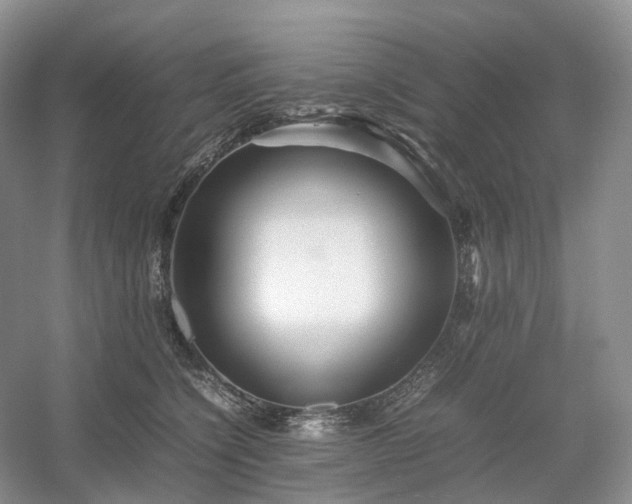 X0000054370564200508051558