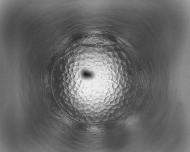 X0000054370565200508051558