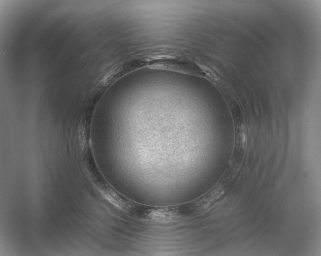 X0000054370568200508051558