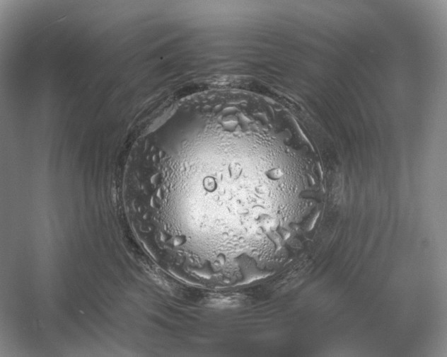 X0000054370569200508051558