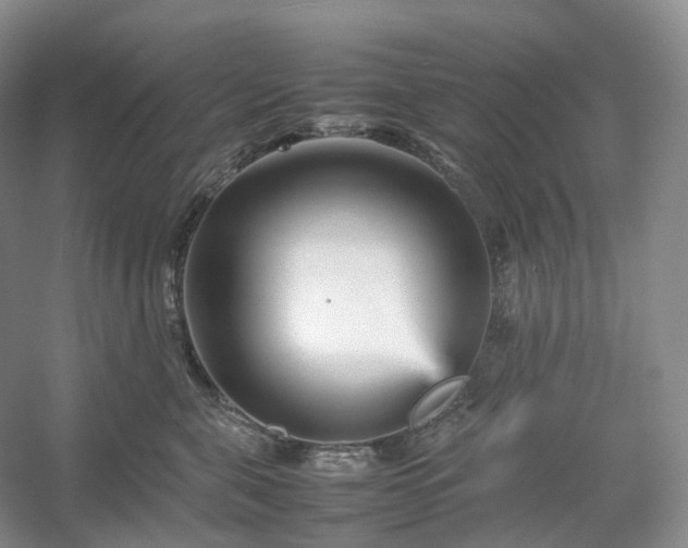 X0000054370571200508051558