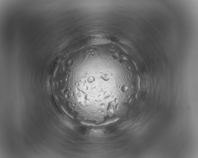 X0000054370573200508051558