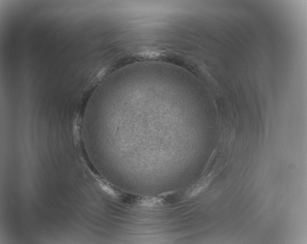 X0000054370576200508051558