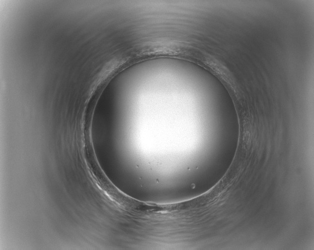 X0000054370578200508051557