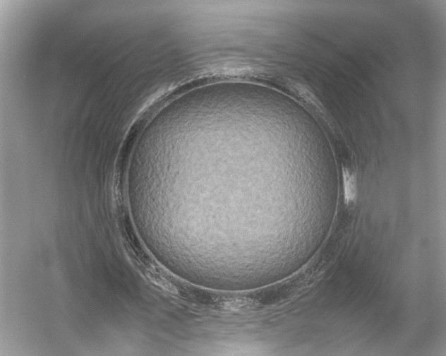 X0000054370579200508051557