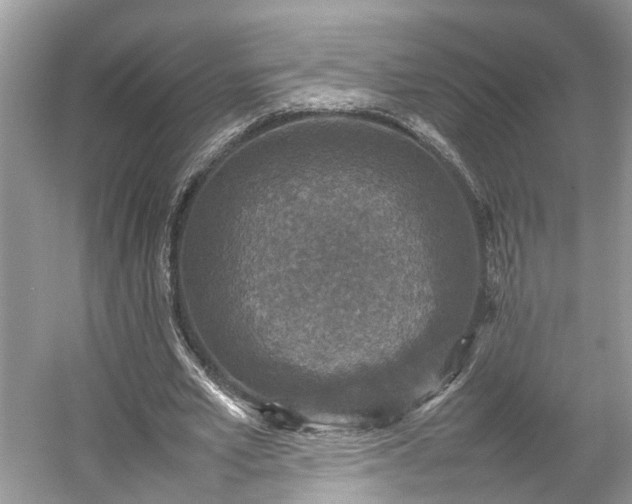 X0000054370581200508051557