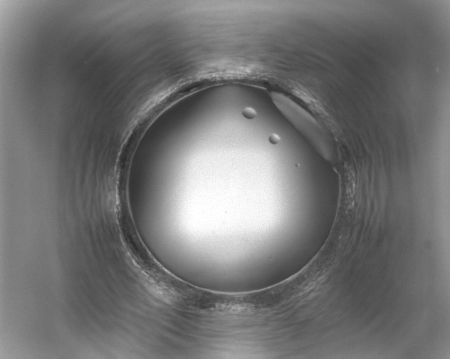 X0000054370582200508051557