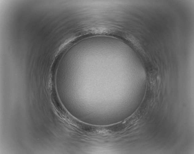 X0000054370583200508051557