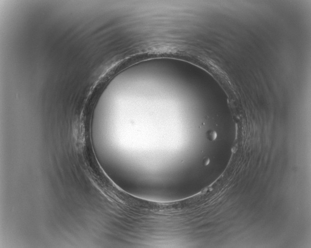 X0000054370584200508051557