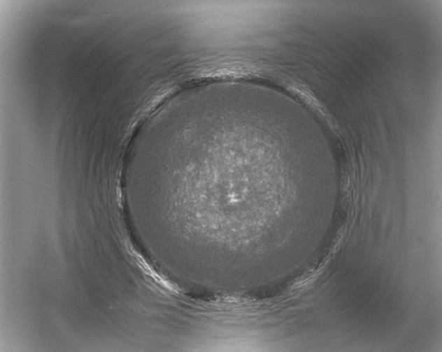 X0000054370585200508051557