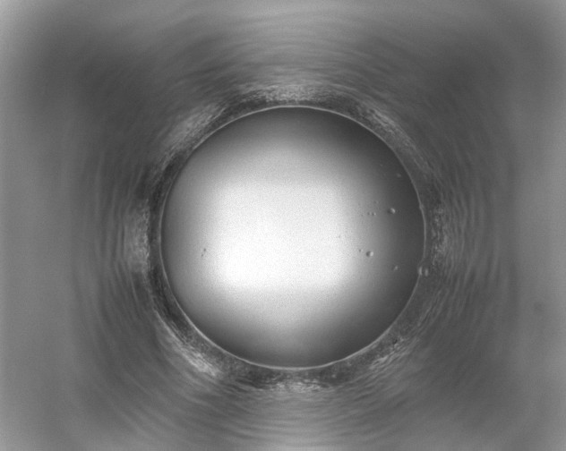 X0000054370586200508051557