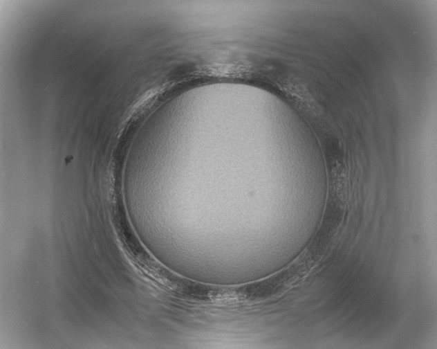 X0000054370587200508051557