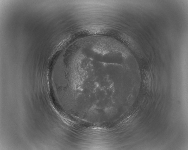 X0000054370590200508051557