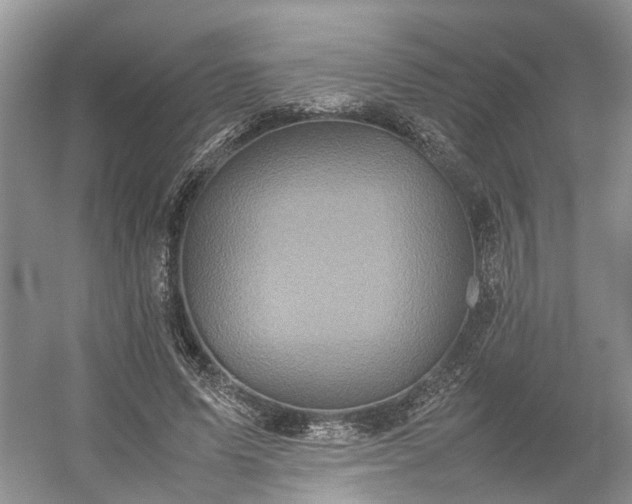 X0000054370591200508051557