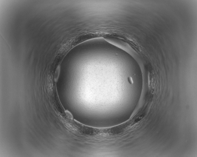 X0000054370593200508051557