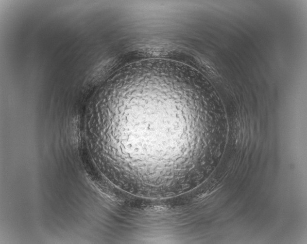 X0000054370594200508051557