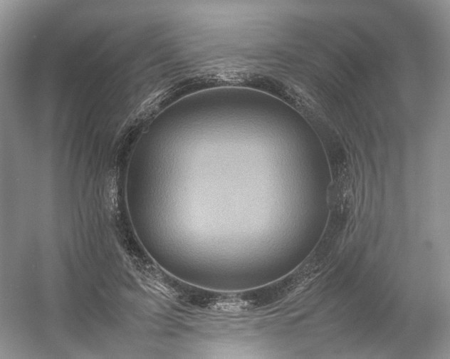 X0000054370595200508051557