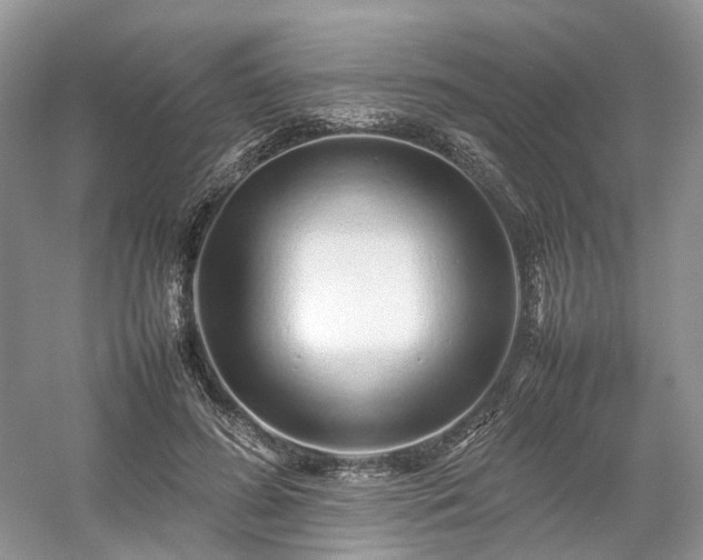 X0000054370596200508051557