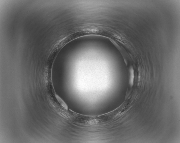 X0000054370600200508051557