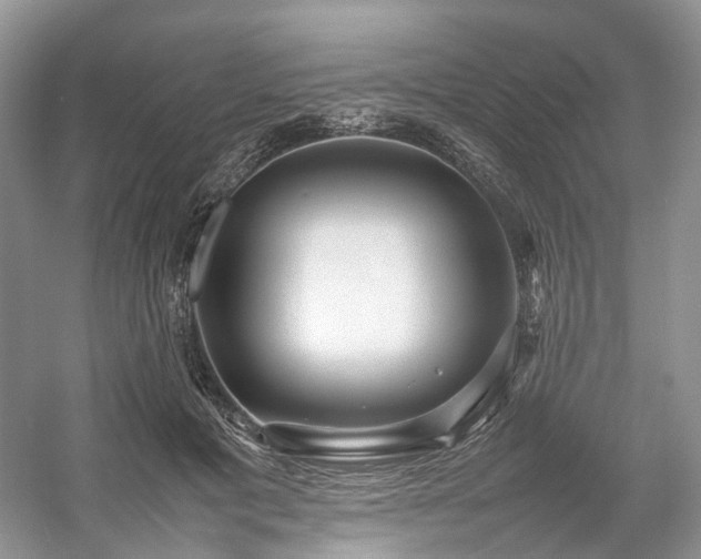 X0000054370601200508051557