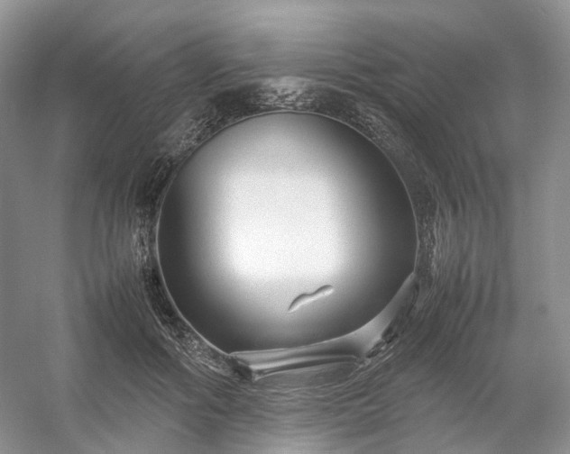 X0000054370602200508051557